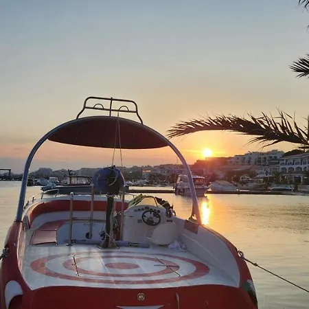 Royal Palm Apartment Sveti Vlas